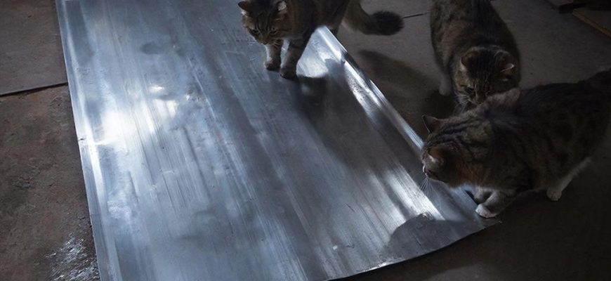 От огня до мурчания: как горячекатаный лист создает вечный уют для вашего кота